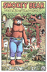 Smokey Bear Forest Fire Prevention